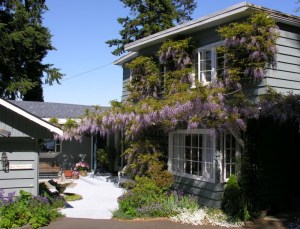 Ext_20Wisteria_20121_20Alders0